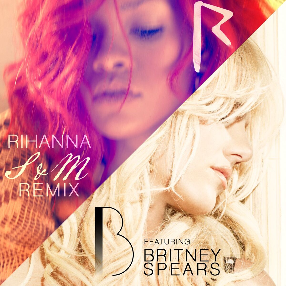 Album cover of S&M Remix
