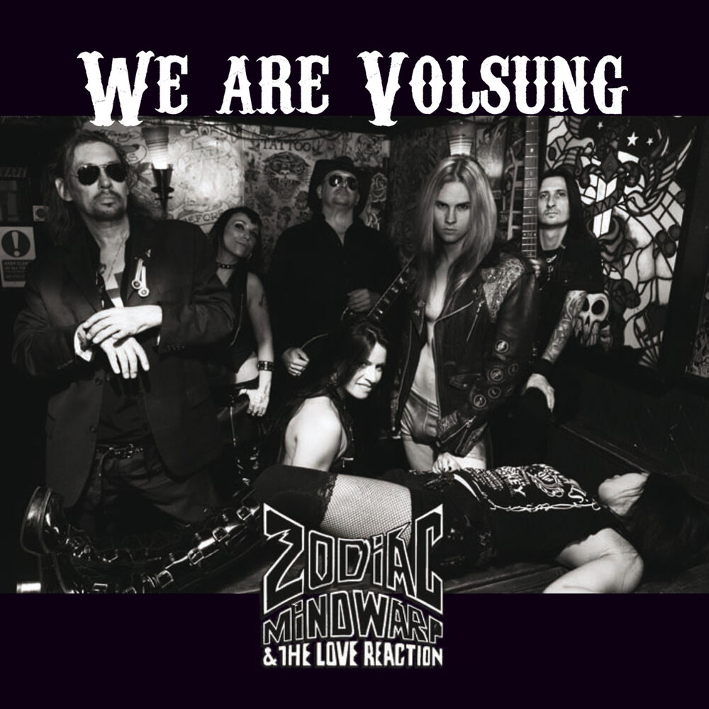 Picture of We Are Volsung