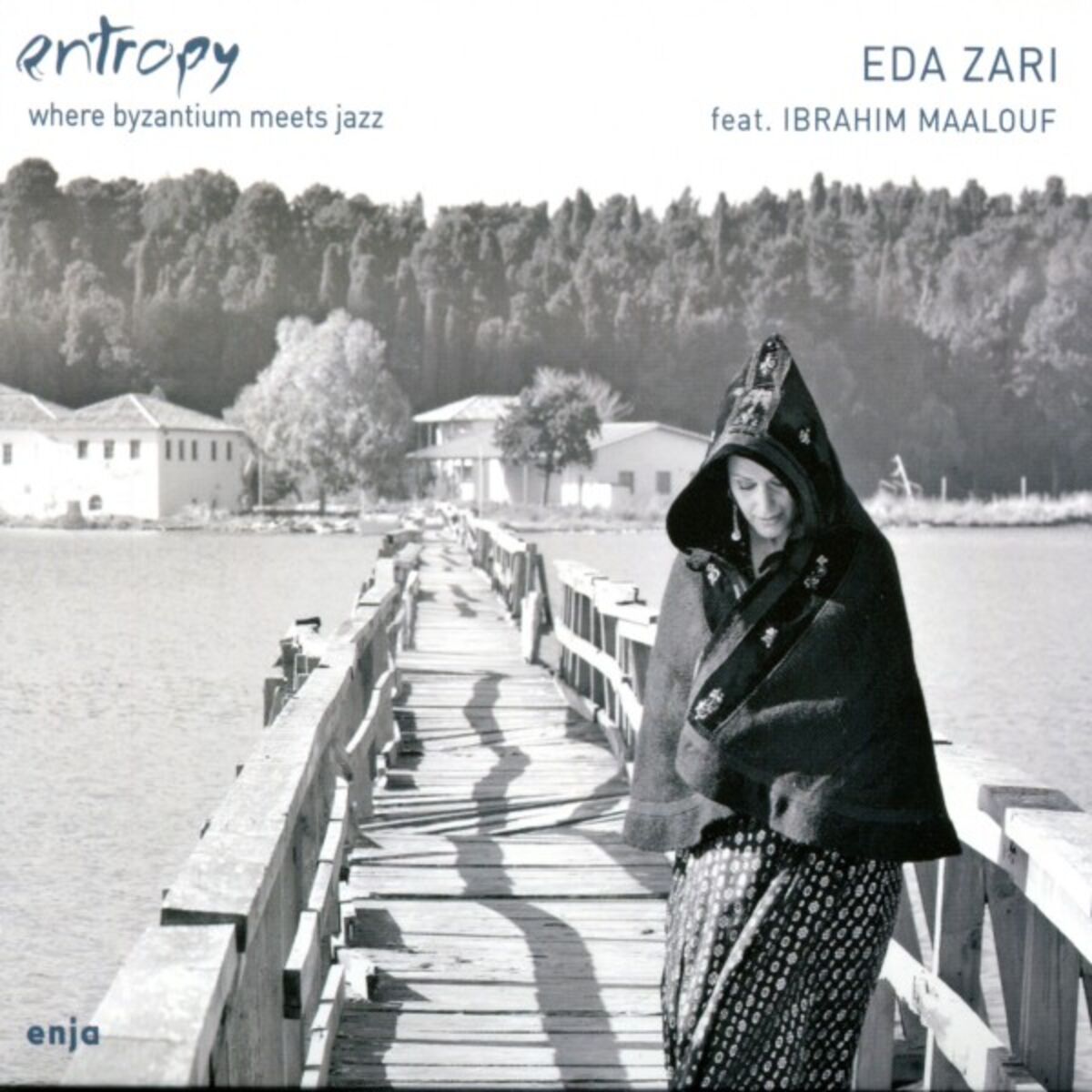 Album cover of Entropy