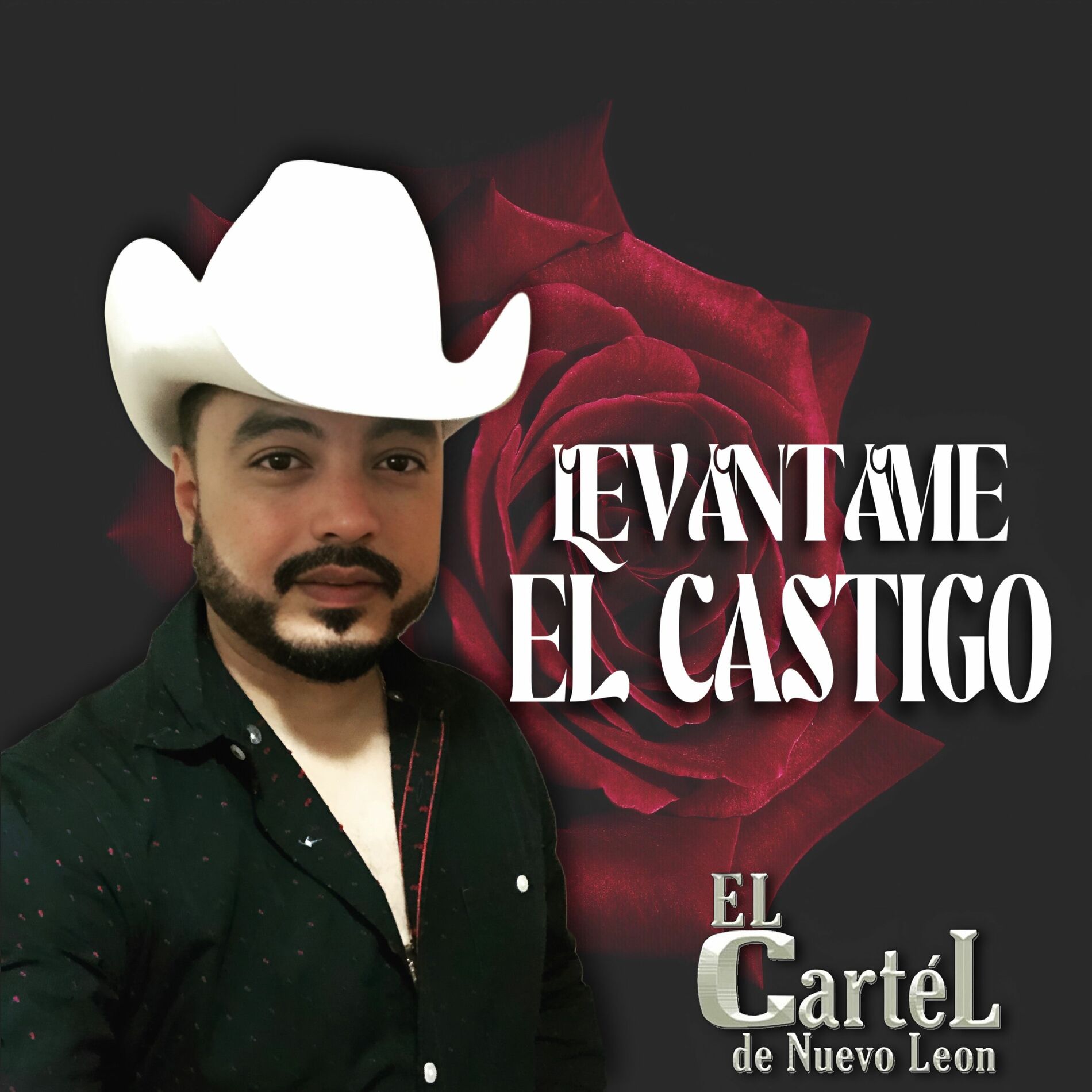 Album cover of Levántame el Castigo