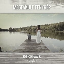 Cover of Megfakult Fénykép