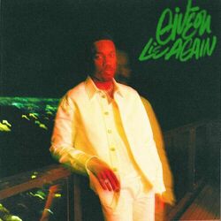 Cover of Lie Again