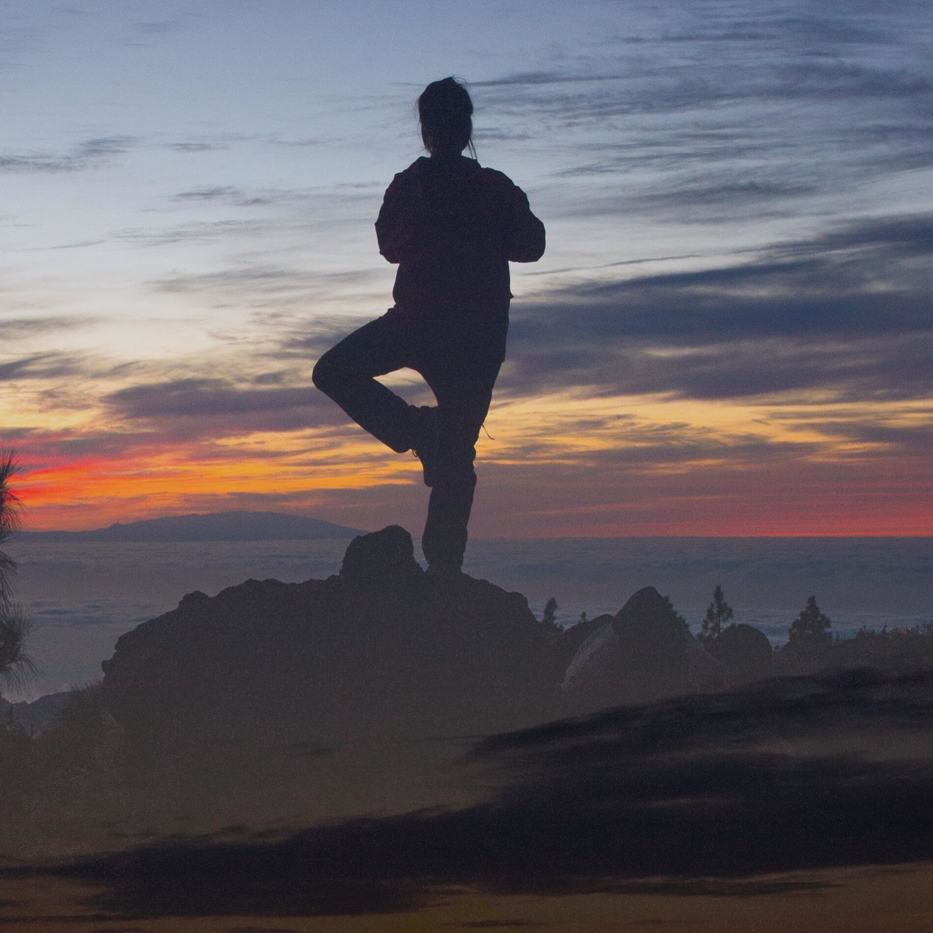 Album cover of Tree Pose Asana