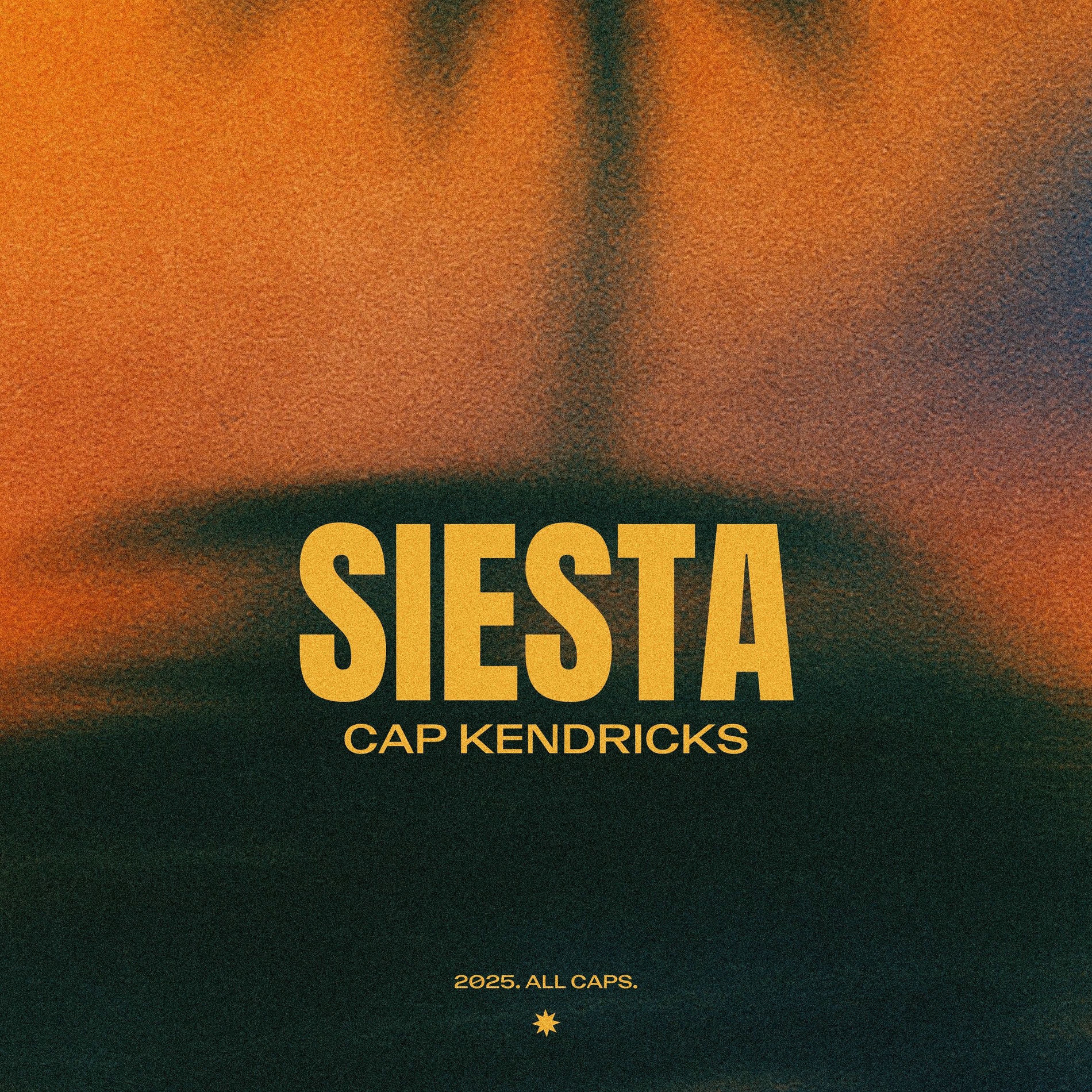 Album cover of Siesta