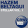 Solar Flare by Hazem Beltagui album cover