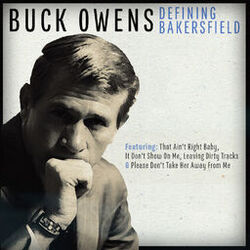 Cover of Defining Bakersfield