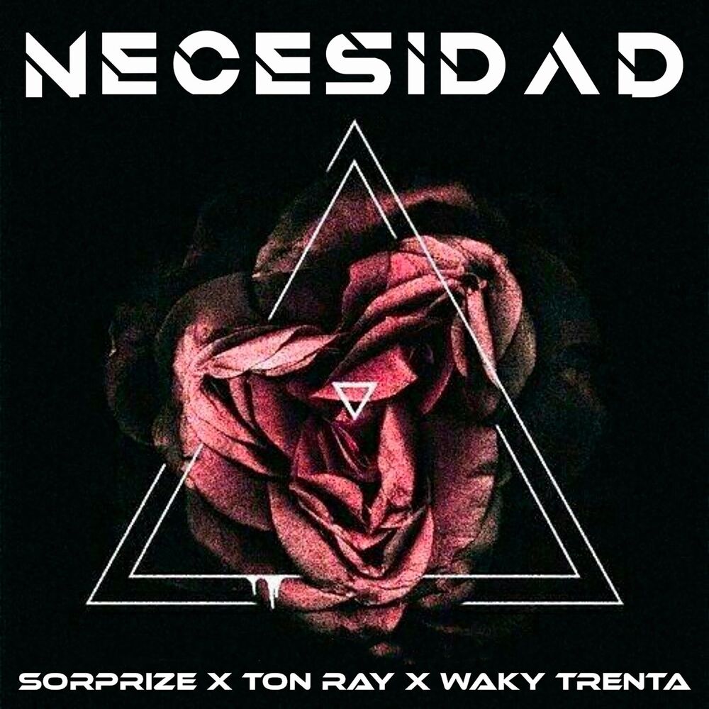 Picture of Necesidad