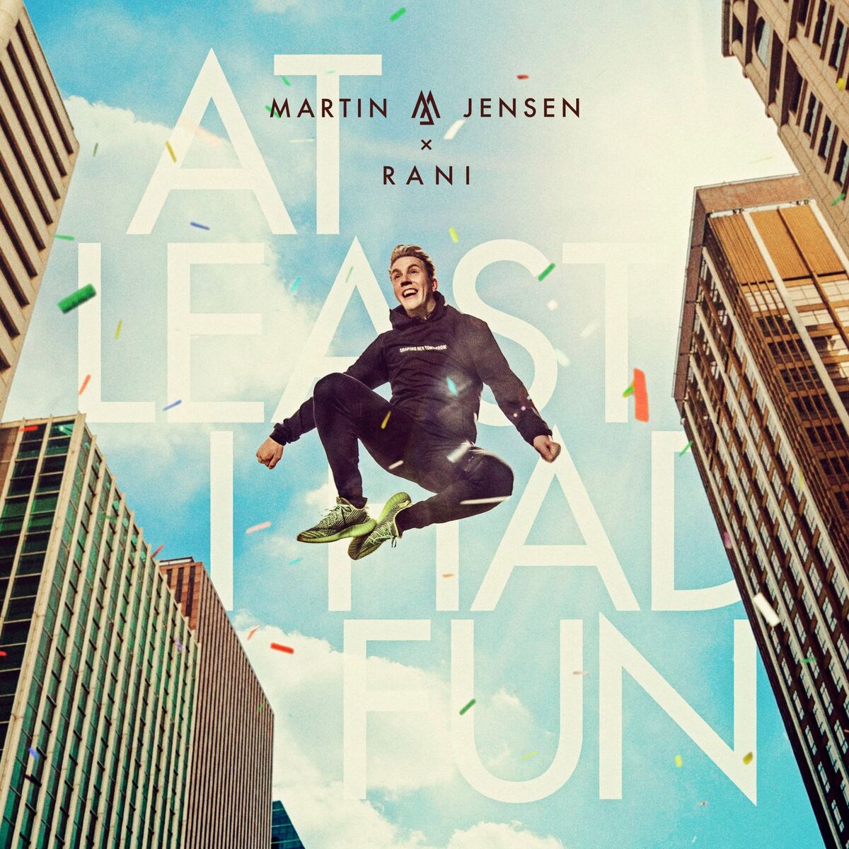 Album cover of At Least I Had Fun