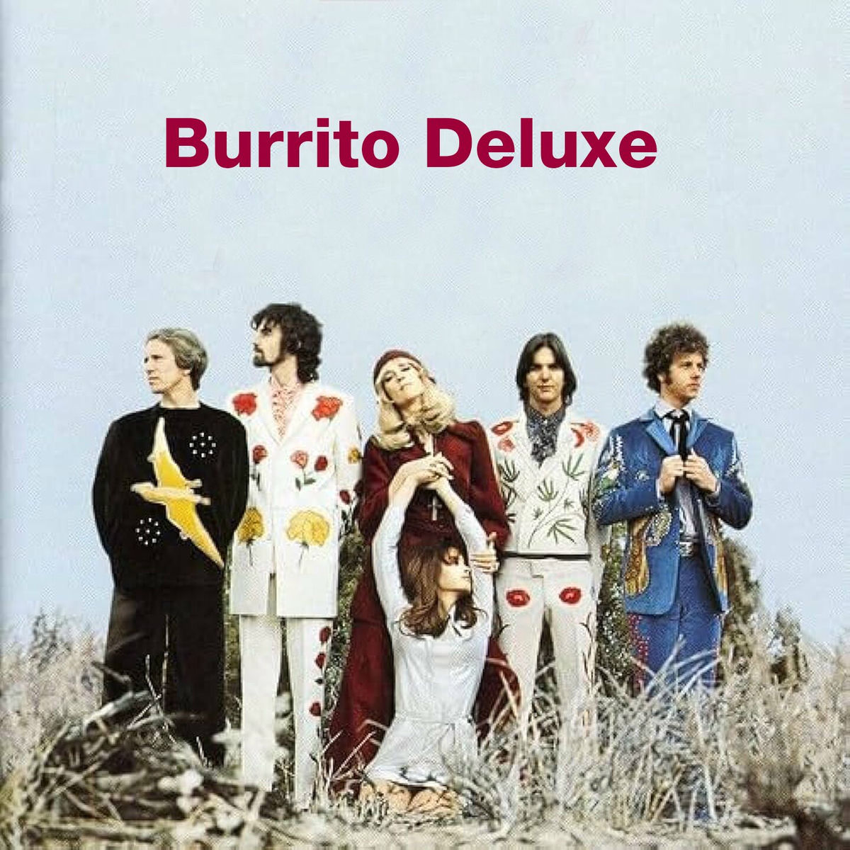 Album cover of Burrito Deluxe