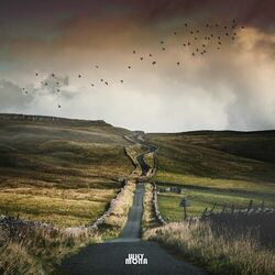 Cover of 30 purple birds