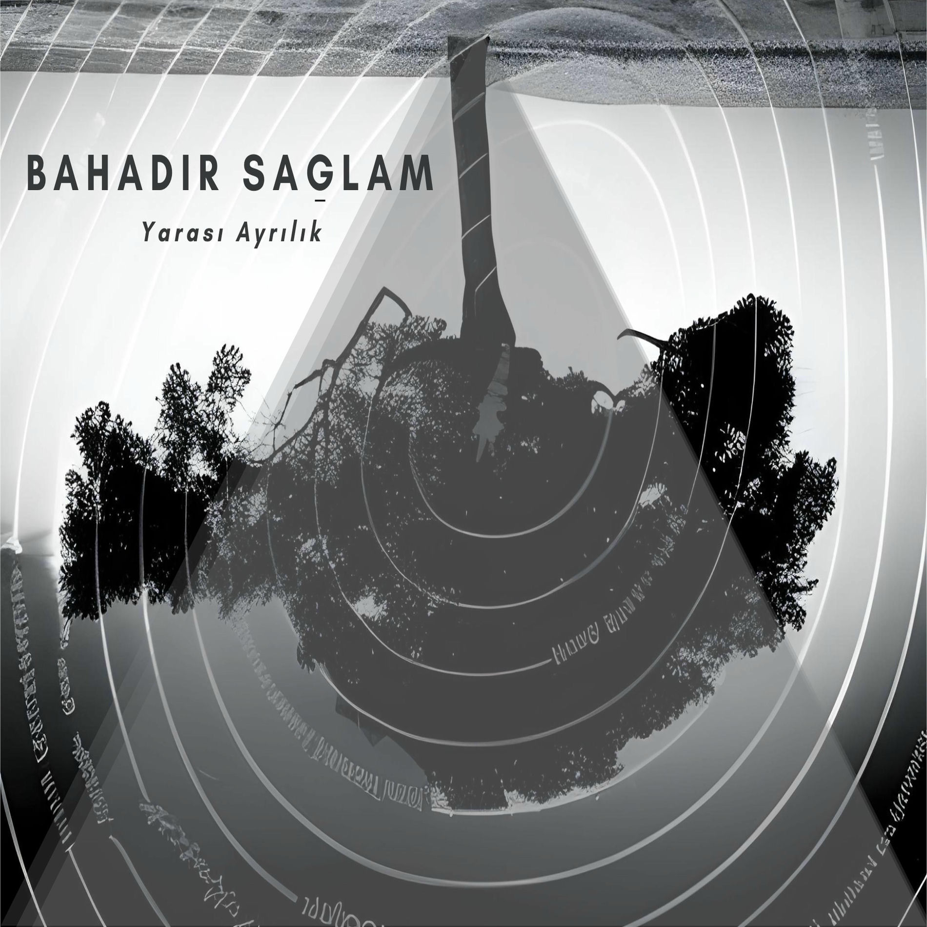 Album cover of Yarası Ayrılık