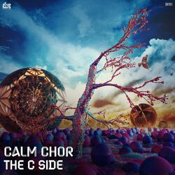 Cover of The C Side