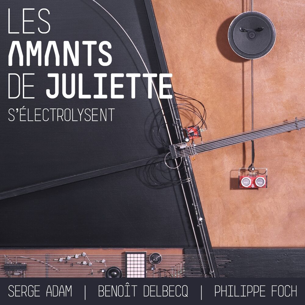 Picture of Les amants de Juliette s'électrolysent