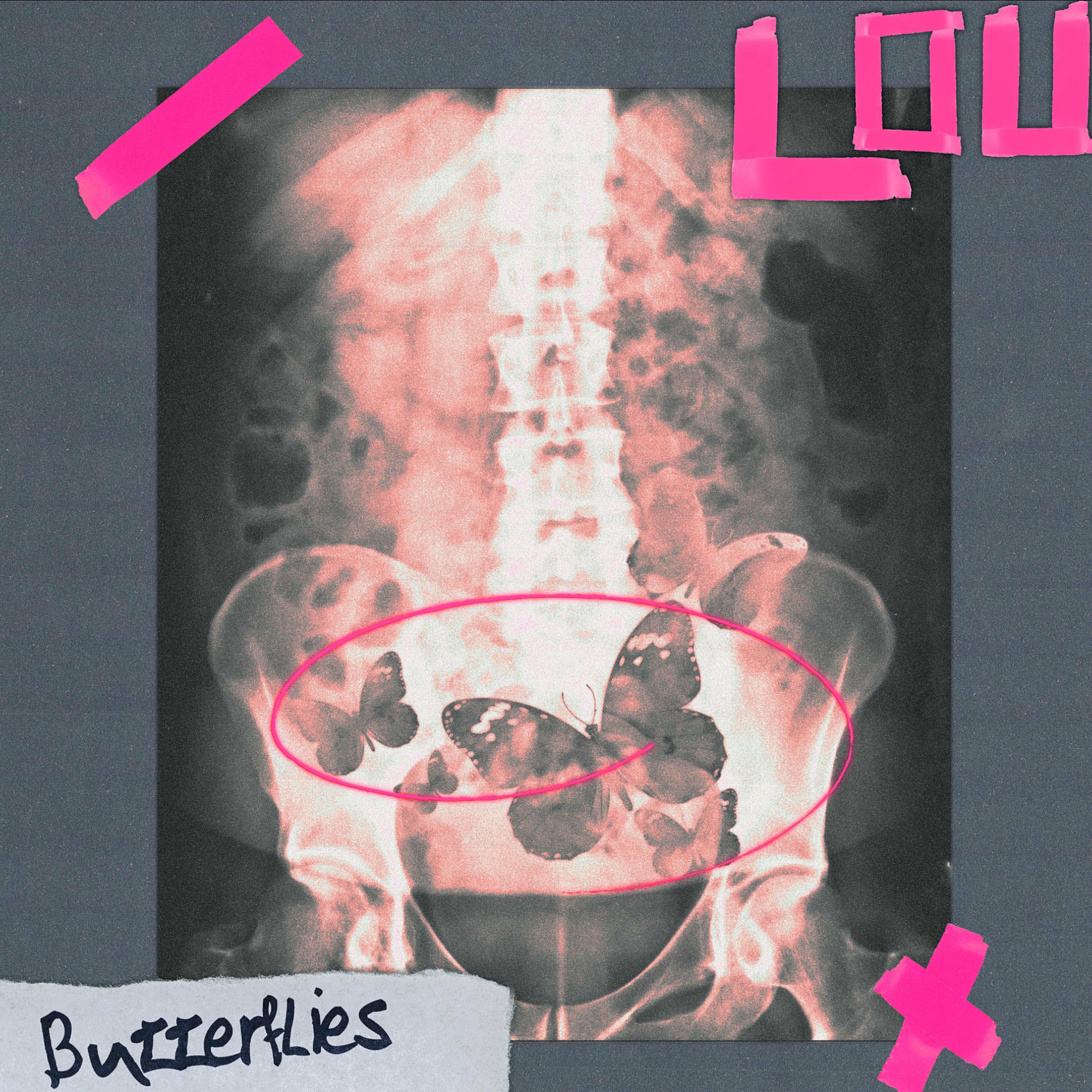 Album cover of BUTTERFLIES