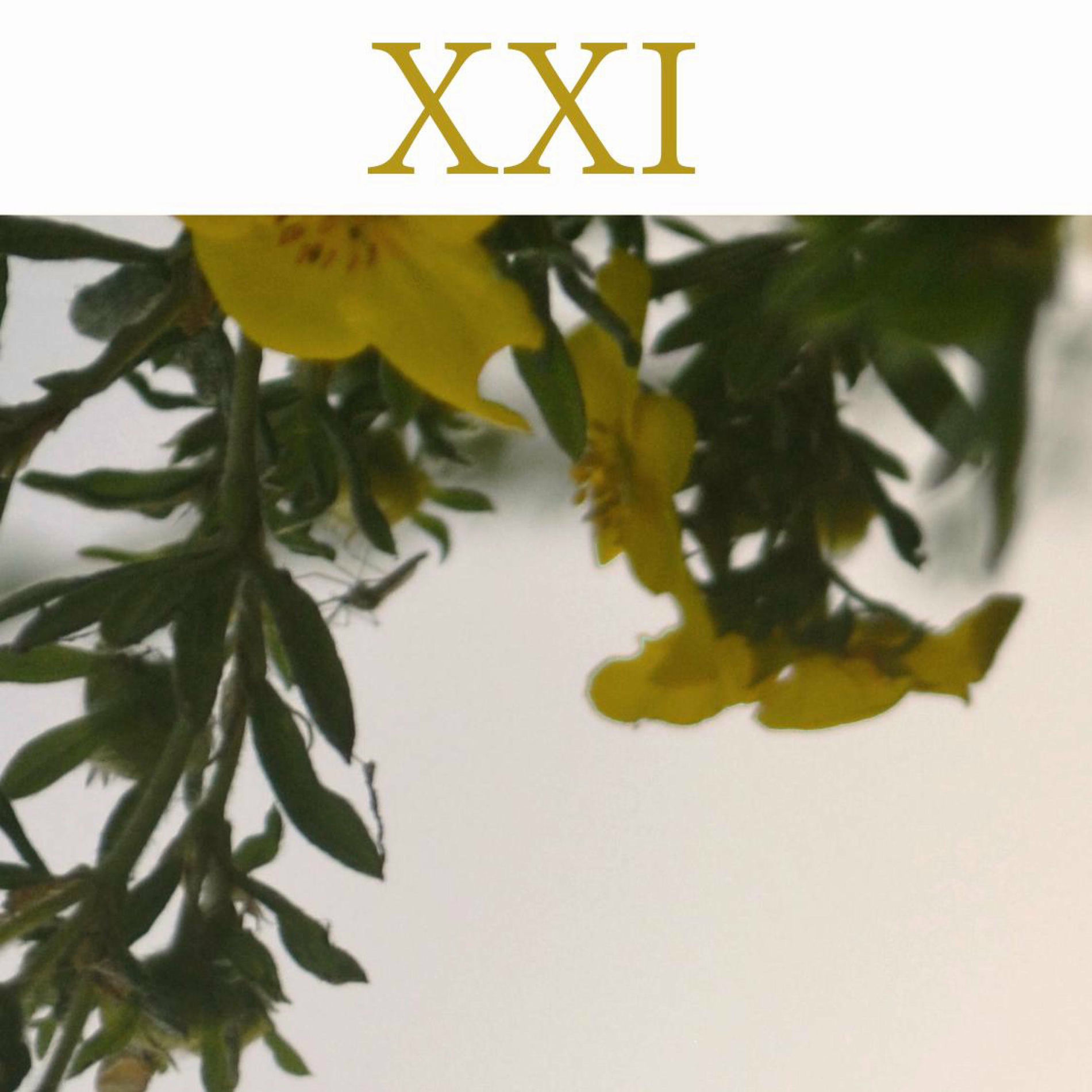 Album cover of XXI