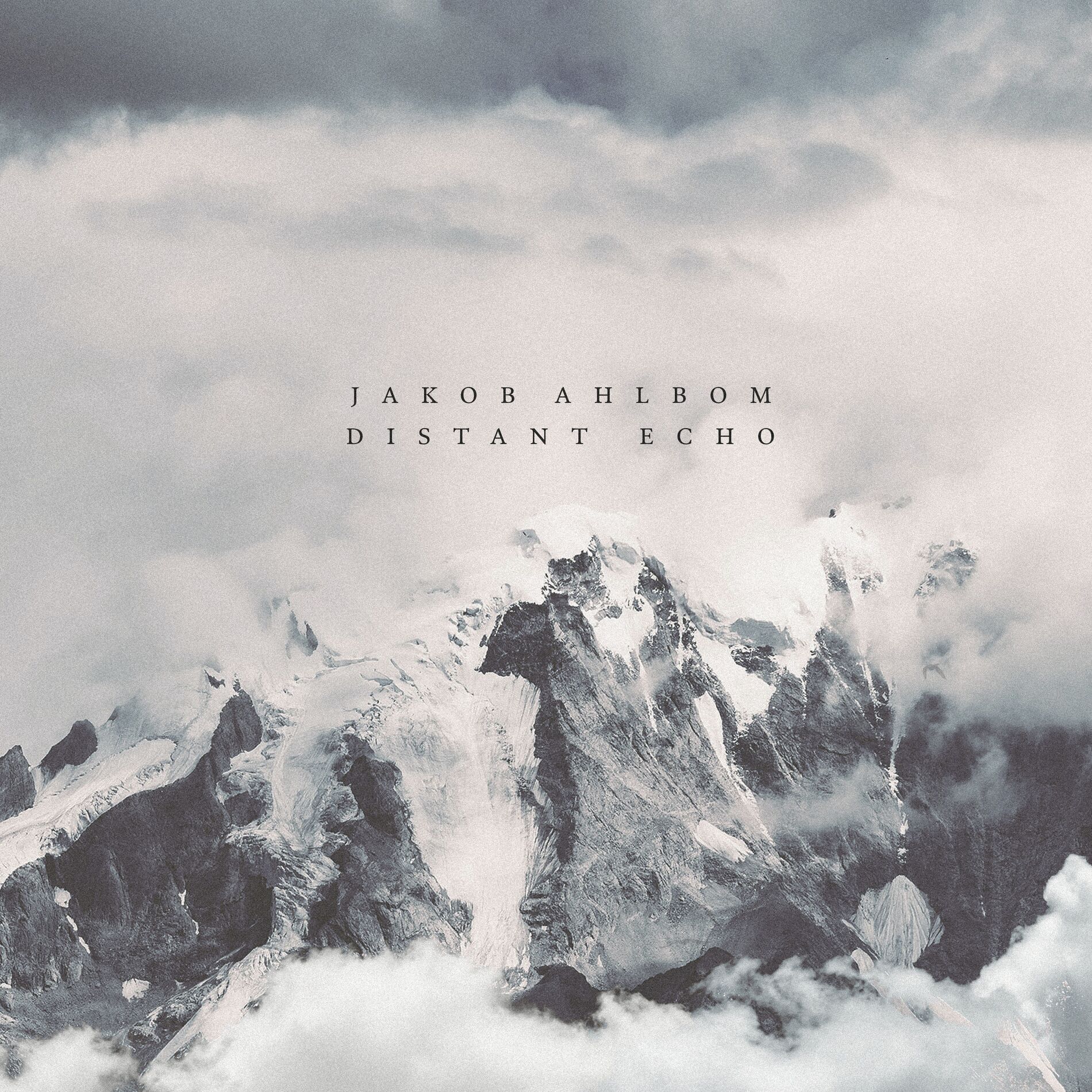 Album cover of Distant Echo