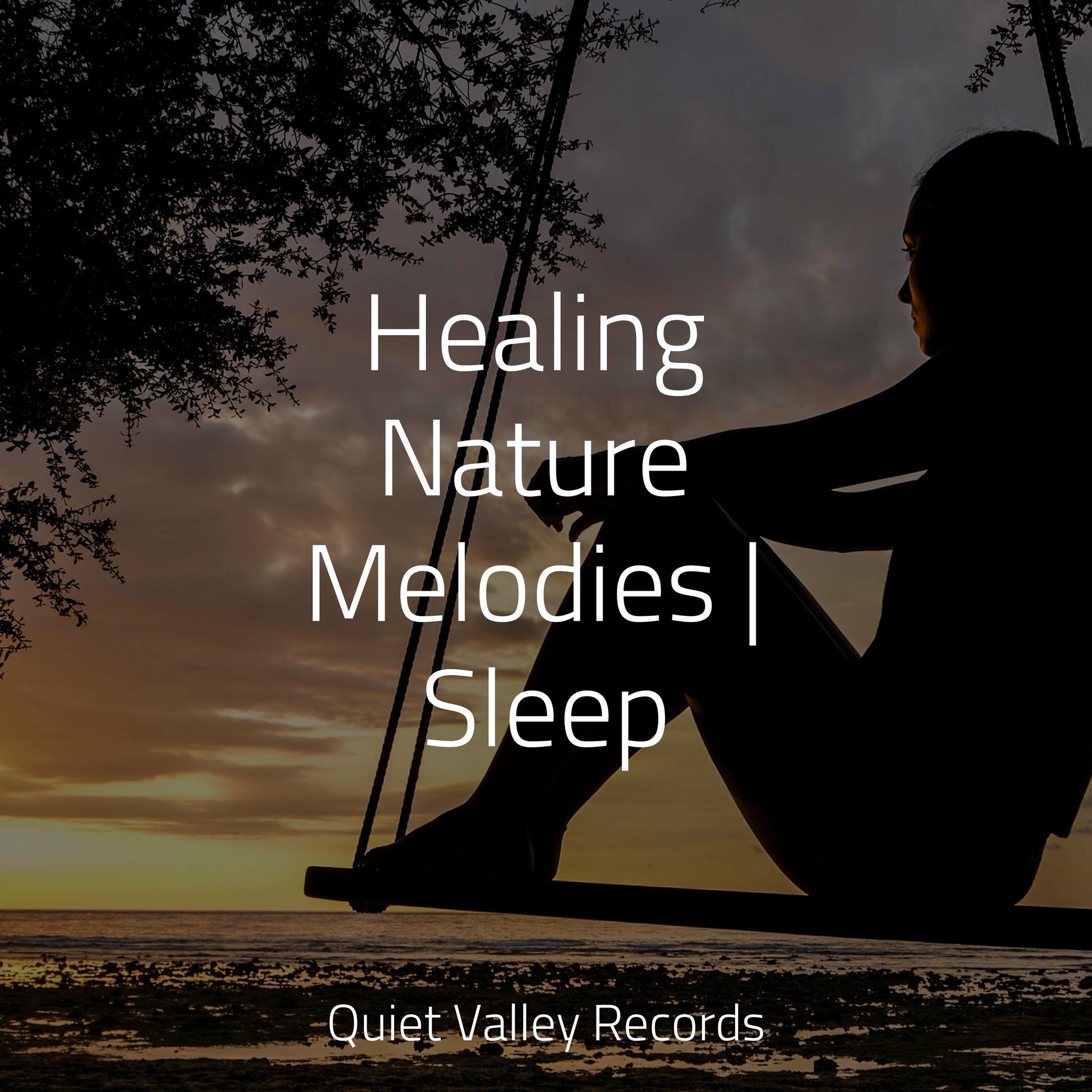 Album cover of Healing Nature Melodies | Sleep