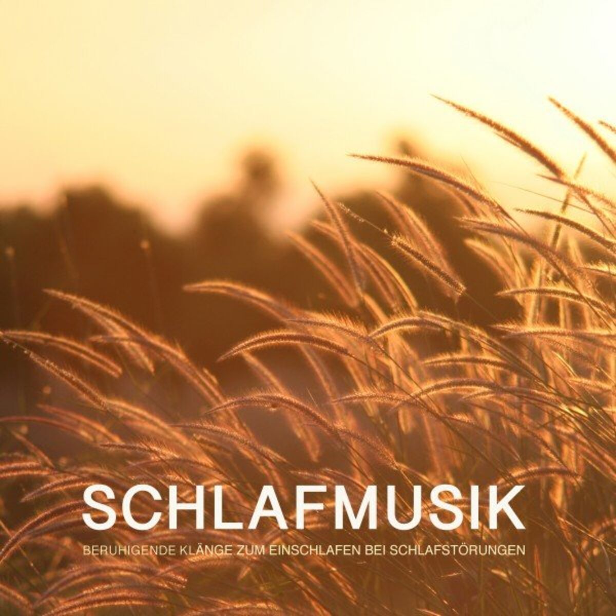 Album cover of The Return
