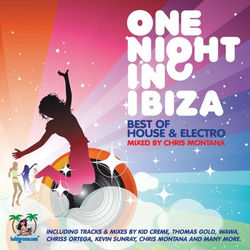Cover of One Night in Ibiza (Various) by undefined