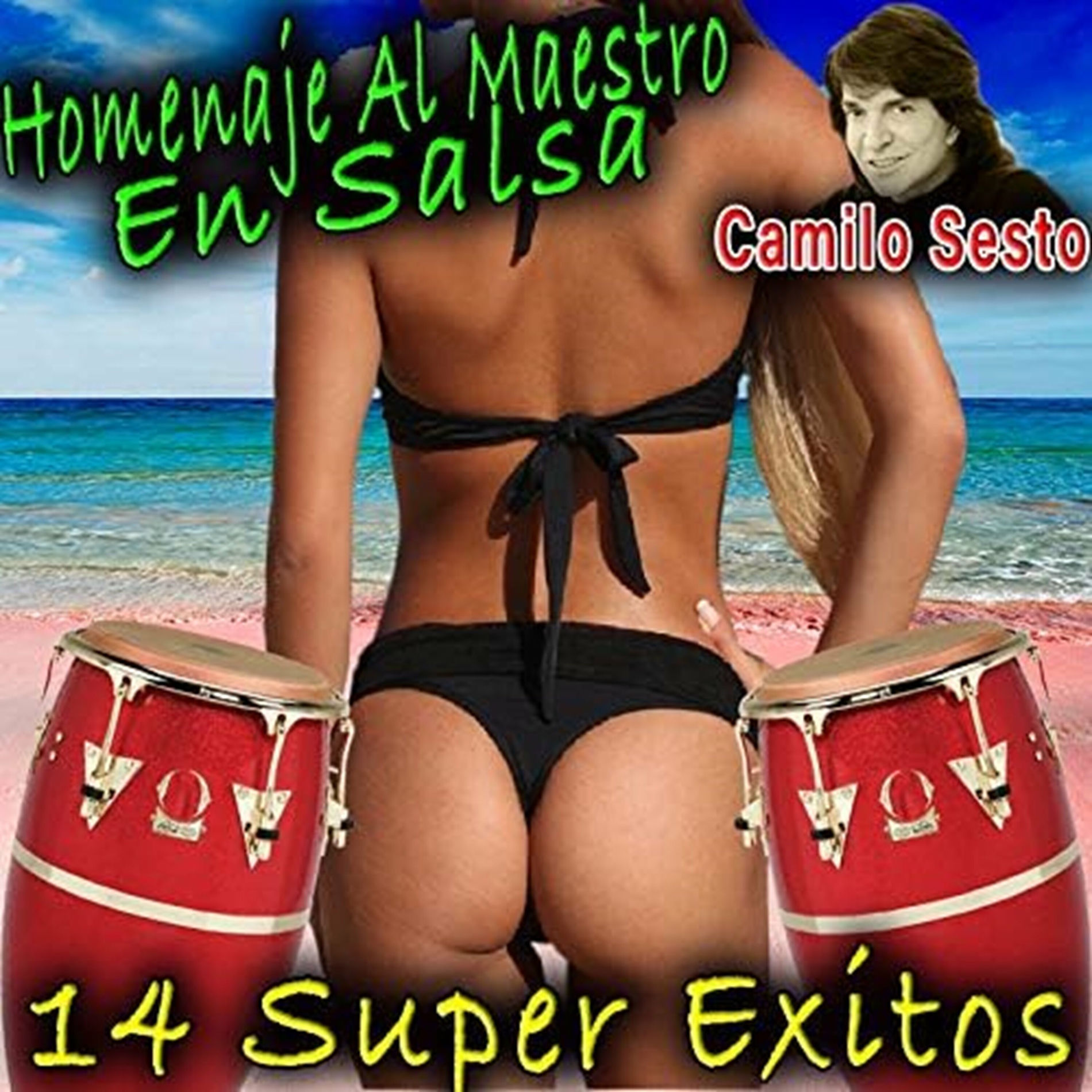 Album cover of Homenaje al Maestro en Salsa