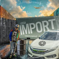 Cover of IMPORT
