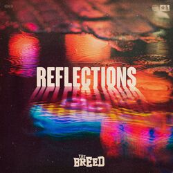Cover of Reflections