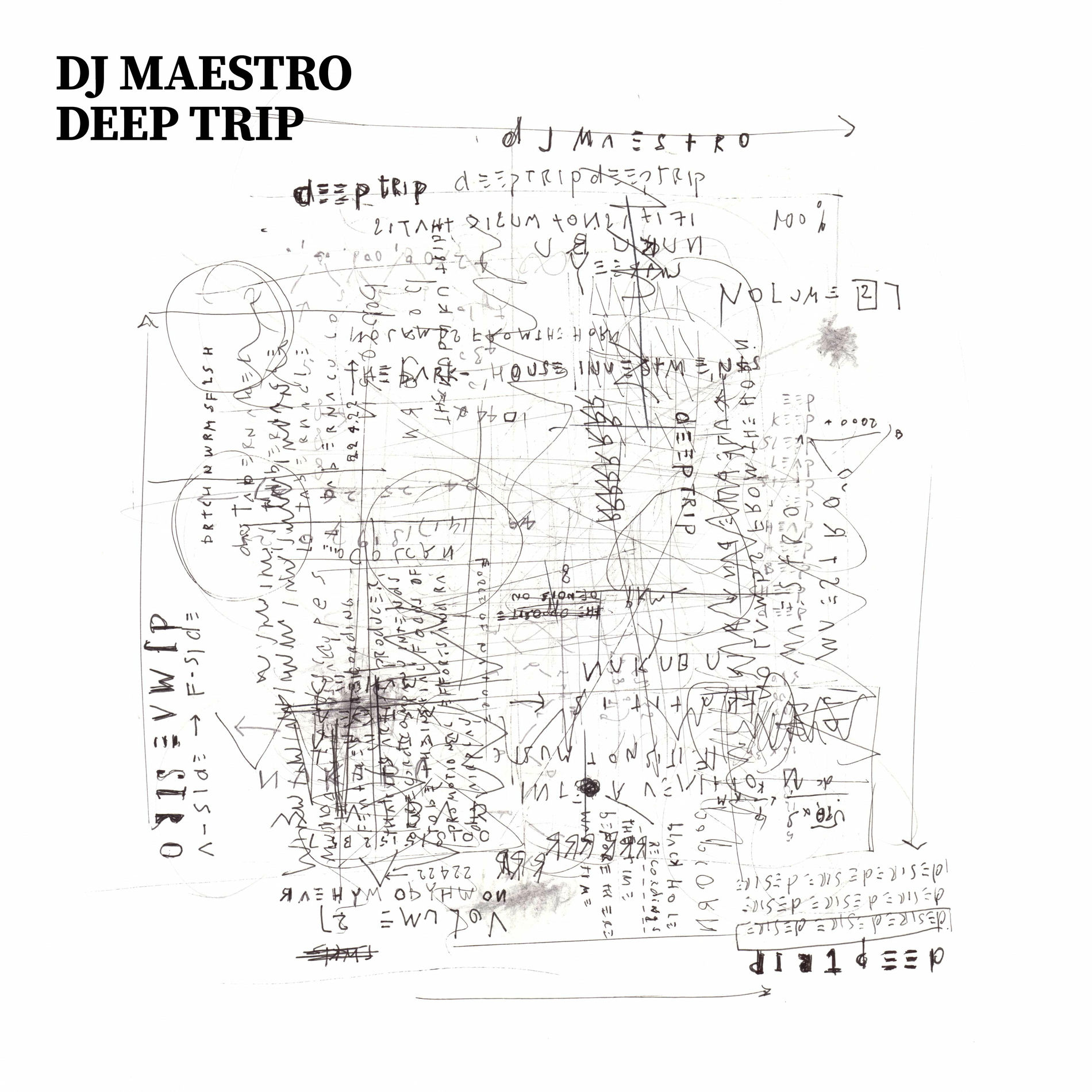 Album cover of Deep Trip (Mixed by DJ Maestro)