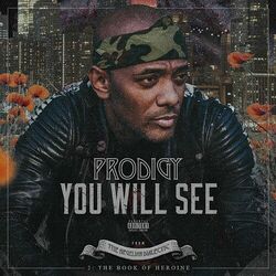 Cover of You Will See