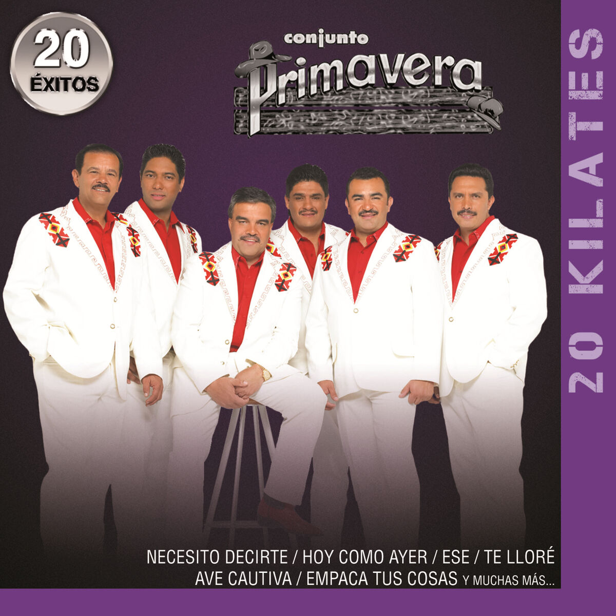 Album cover of 20 Kilates 20 Éxitos