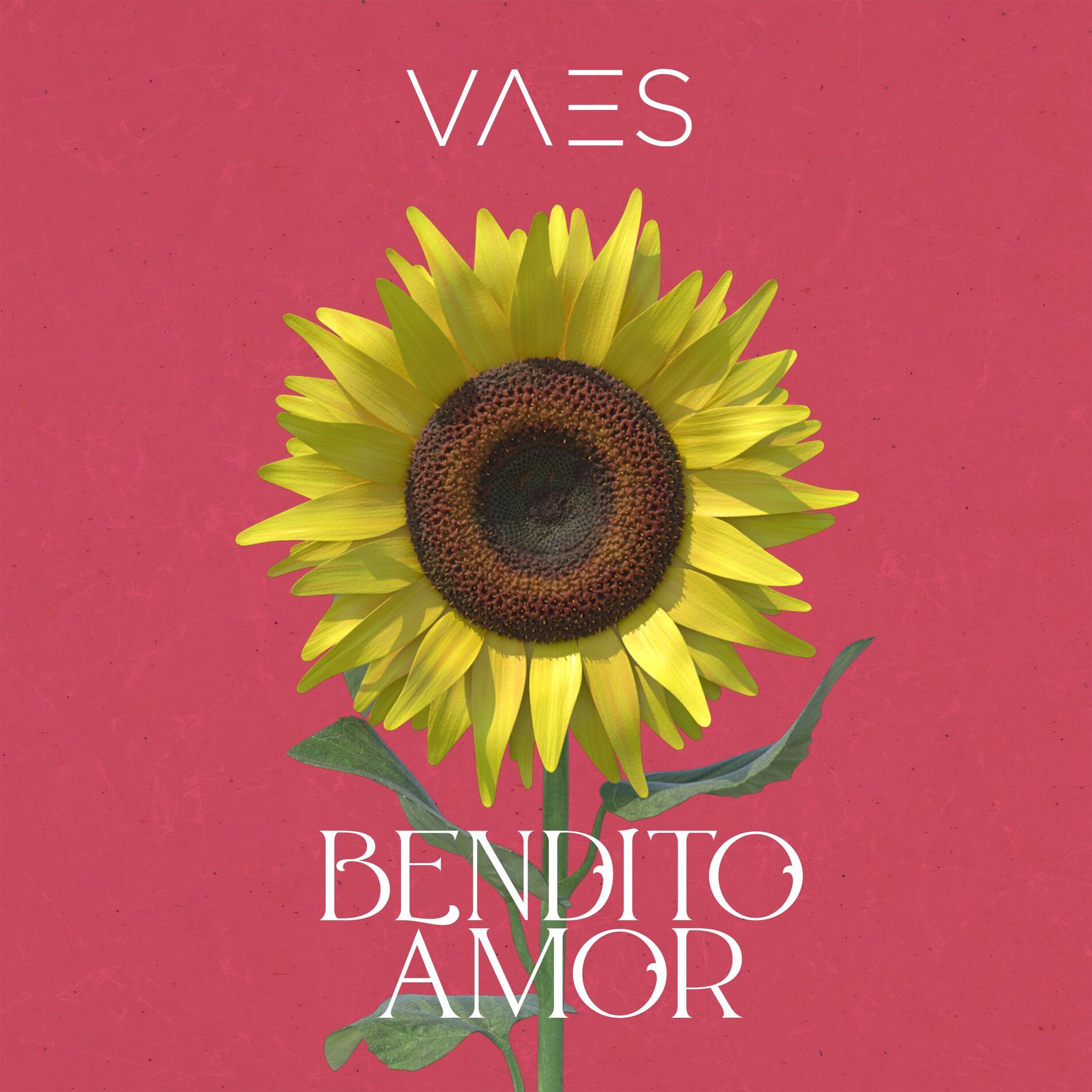 Album cover of Bendito Amor