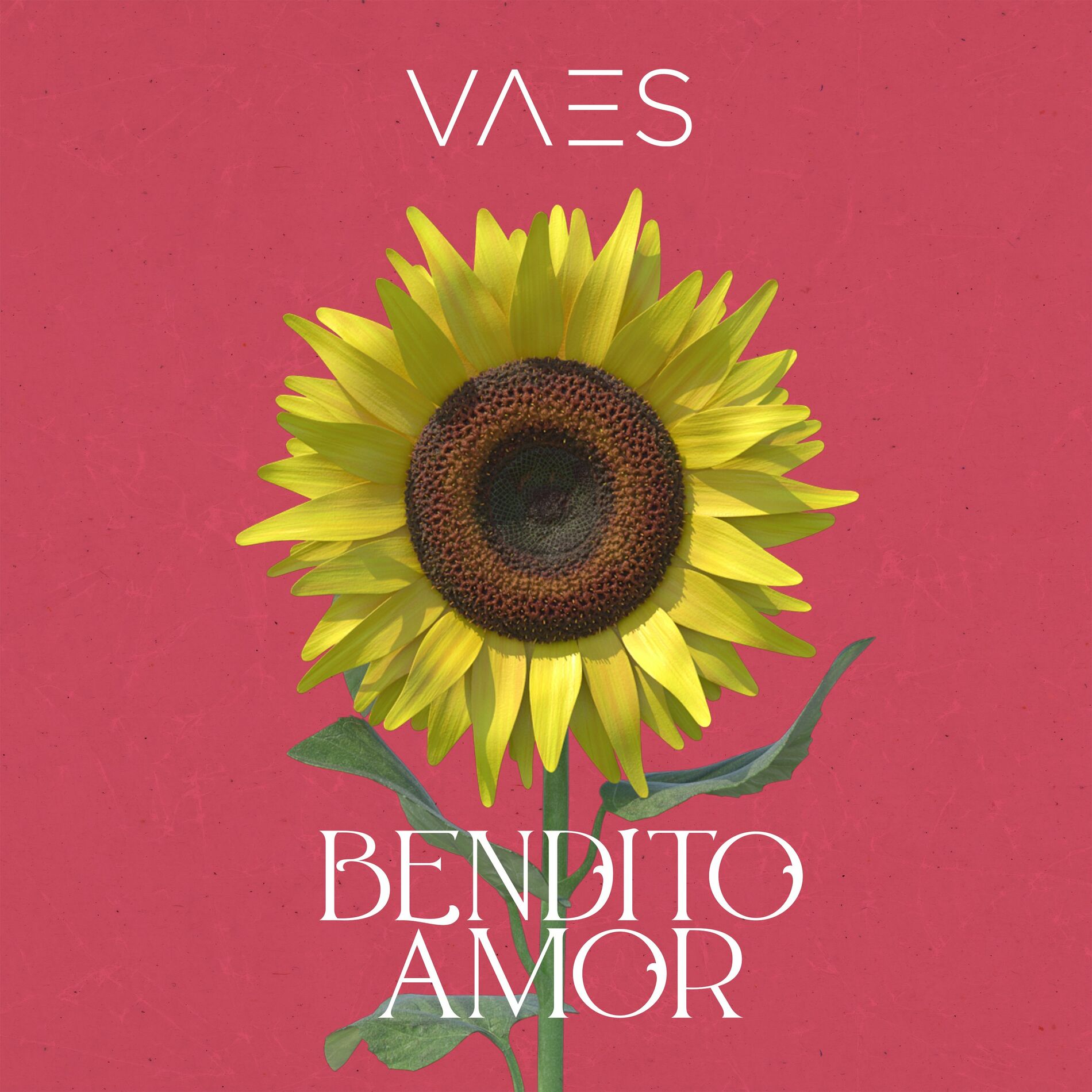 Album cover of Bendito Amor