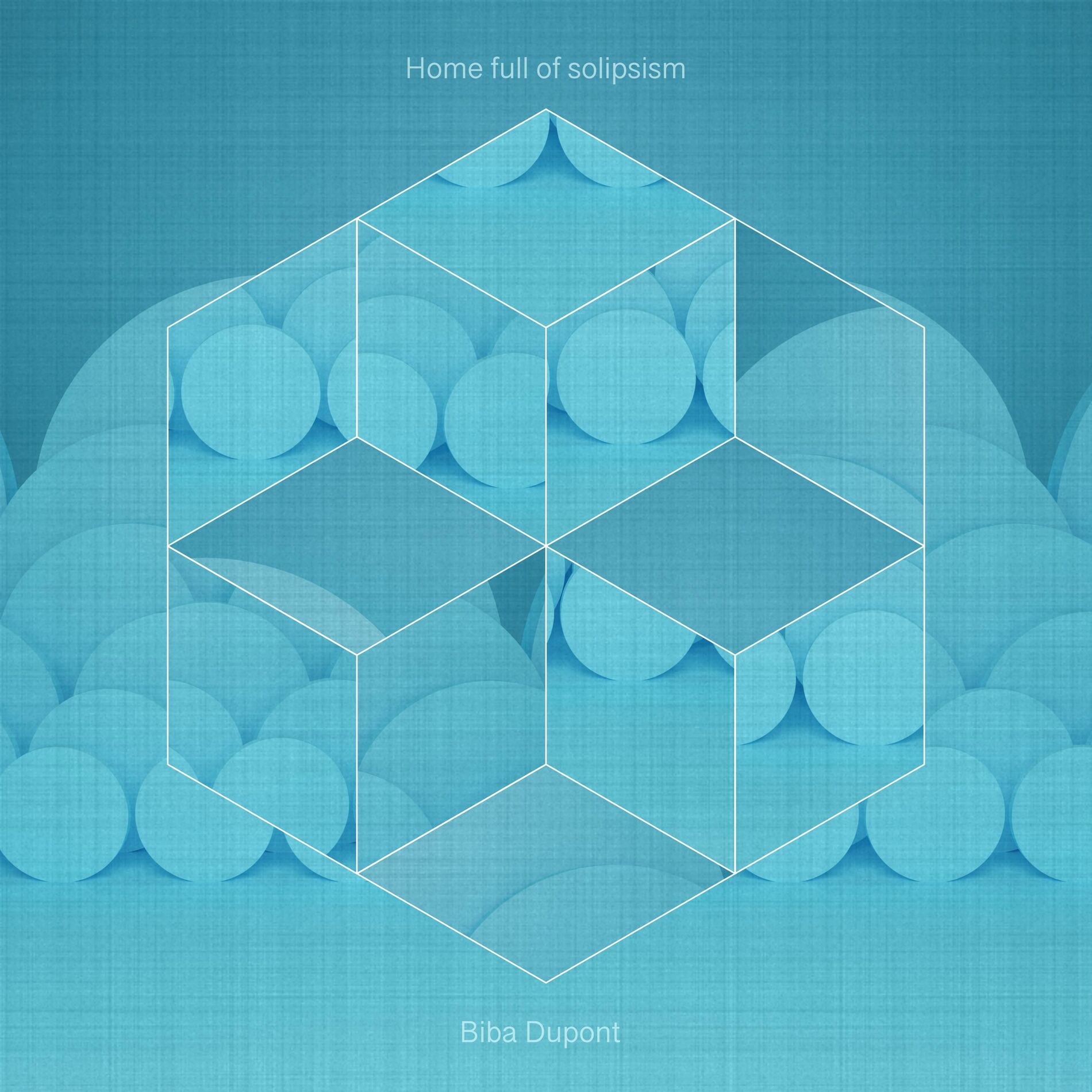 Album cover of Home full of solipsism