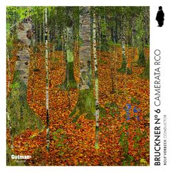 Cover of Bruckner No. 6 (for ensemble)