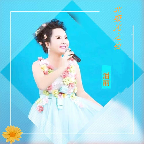 北极光之夜 (潘丽版)
