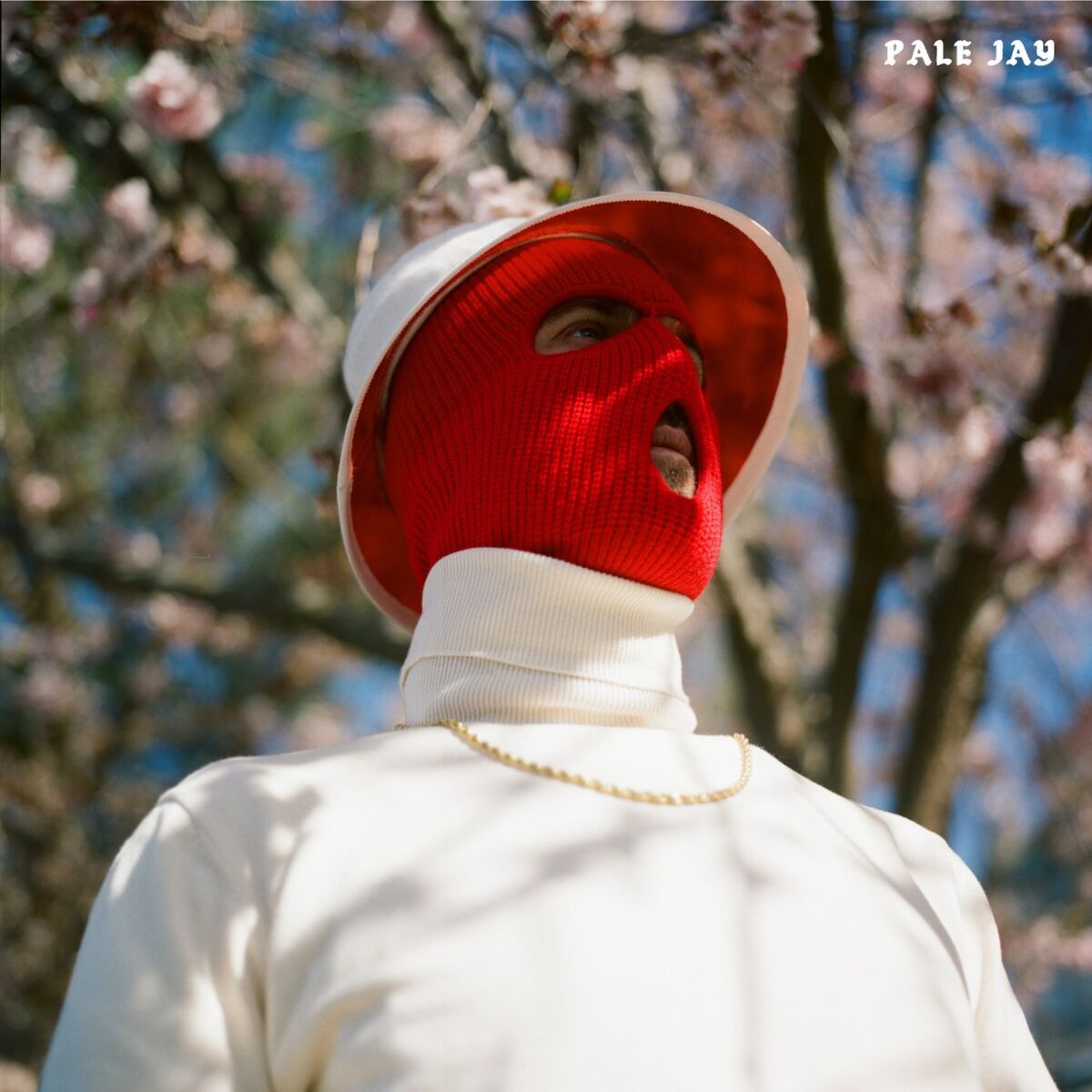 Album cover of Dos Uvas