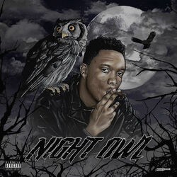 Cover of NIGHT OWL