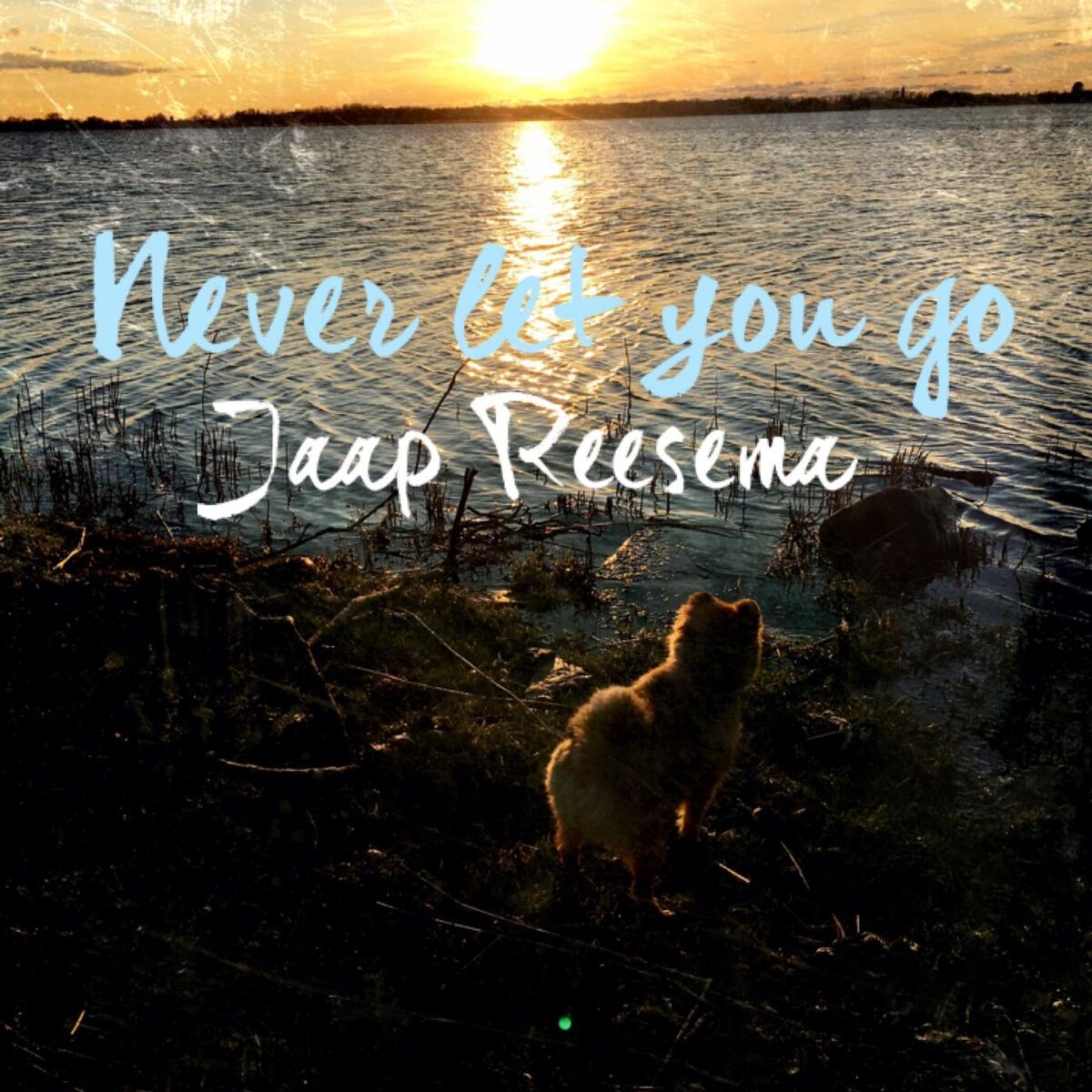 Album cover of Never Let You Go