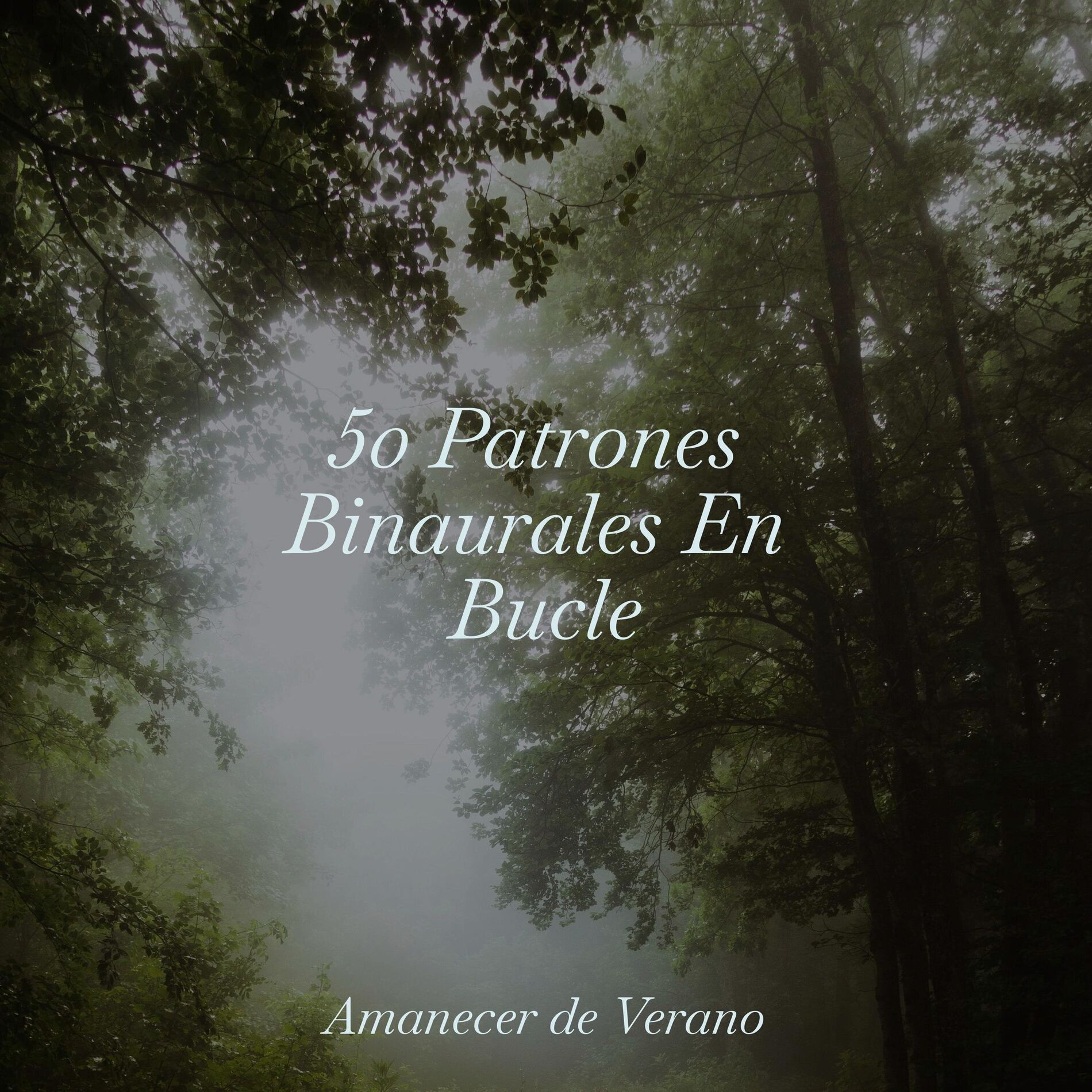 Album cover of 50 Patrones Binaurales En Bucle