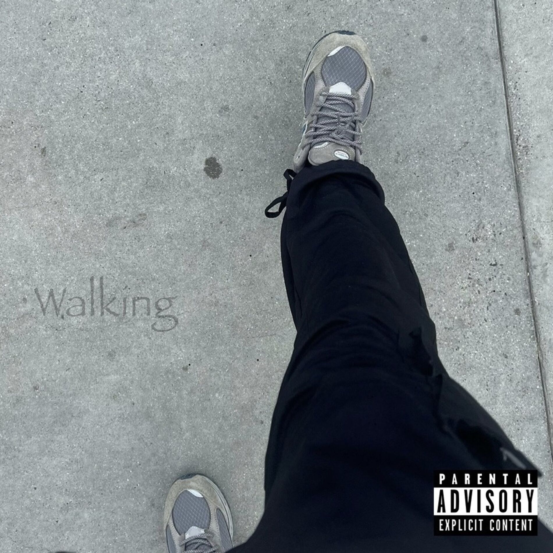Album cover of Walking