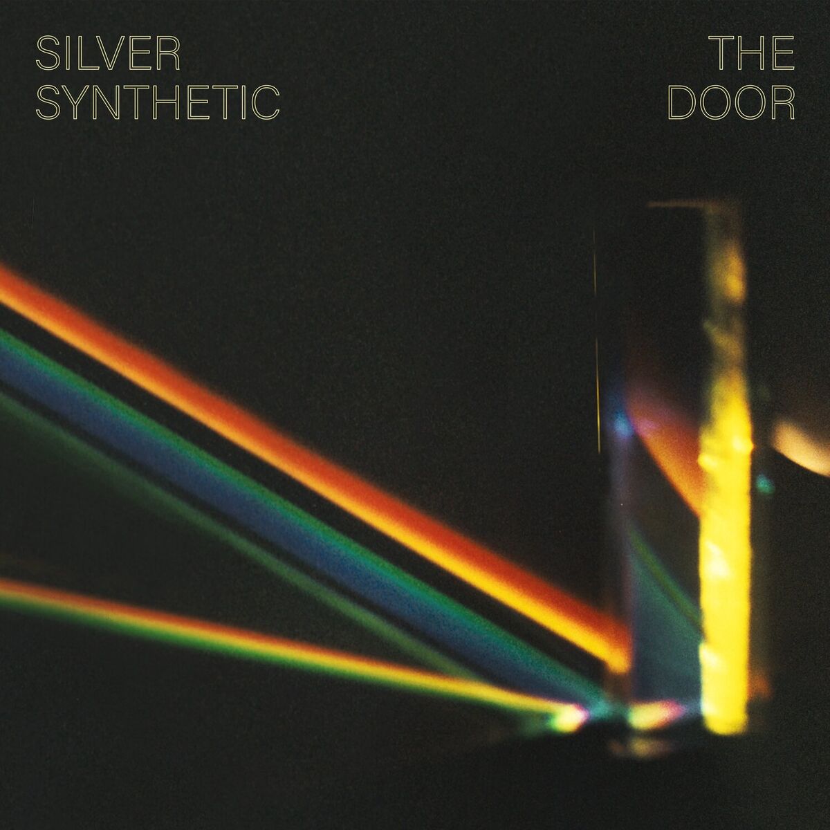 Album cover of The Door