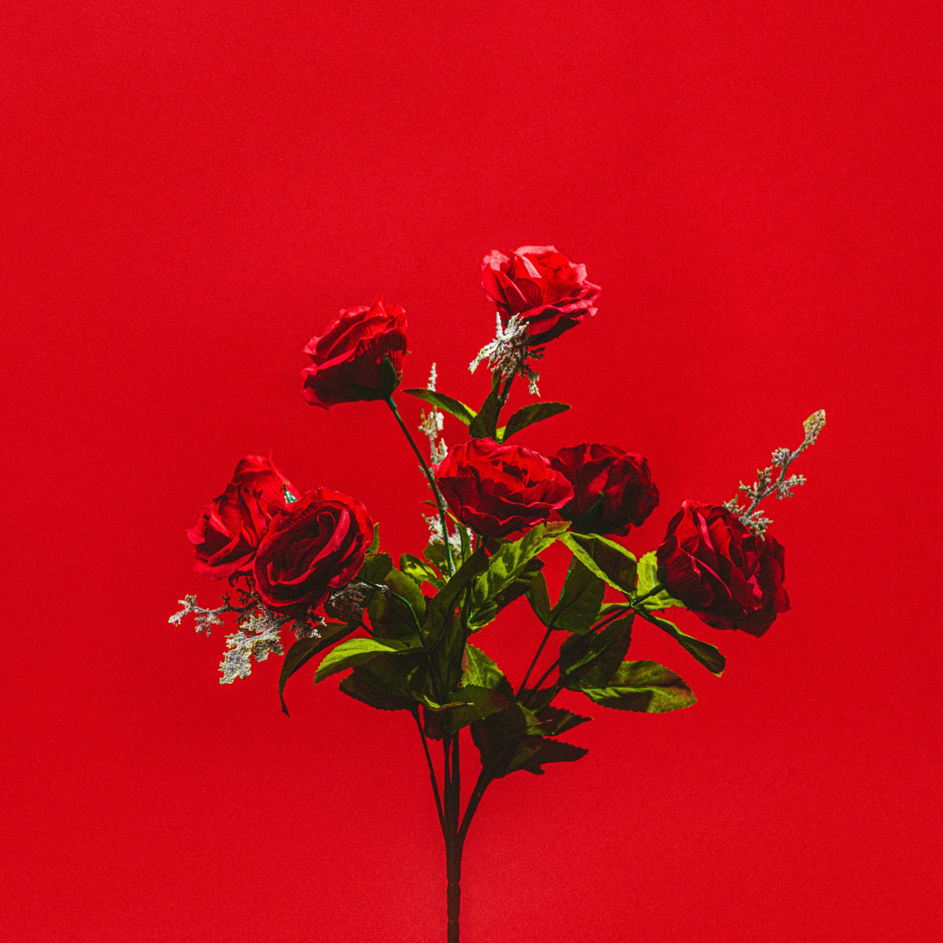 Album cover of Easy, Tiger