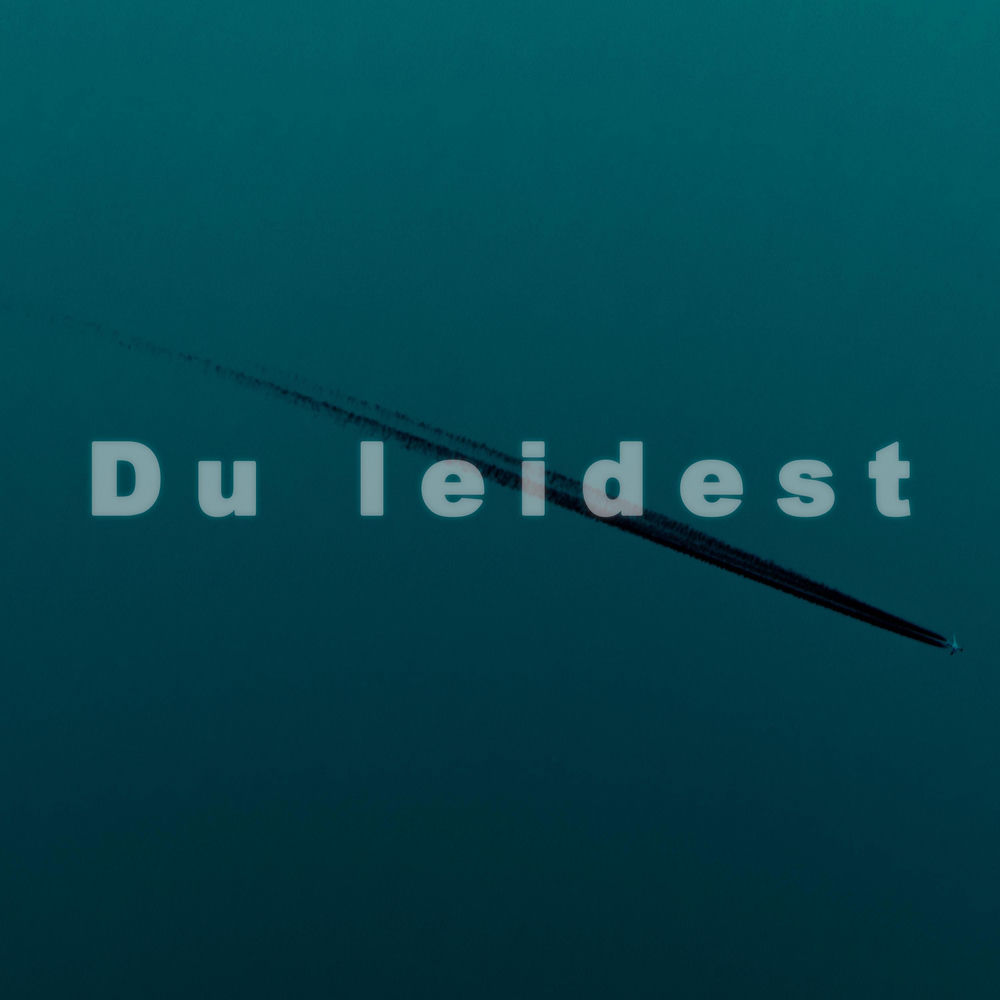 Du leidest