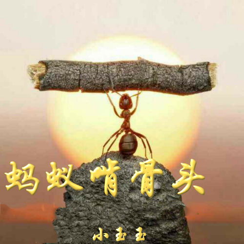 蚂蚁啃骨头