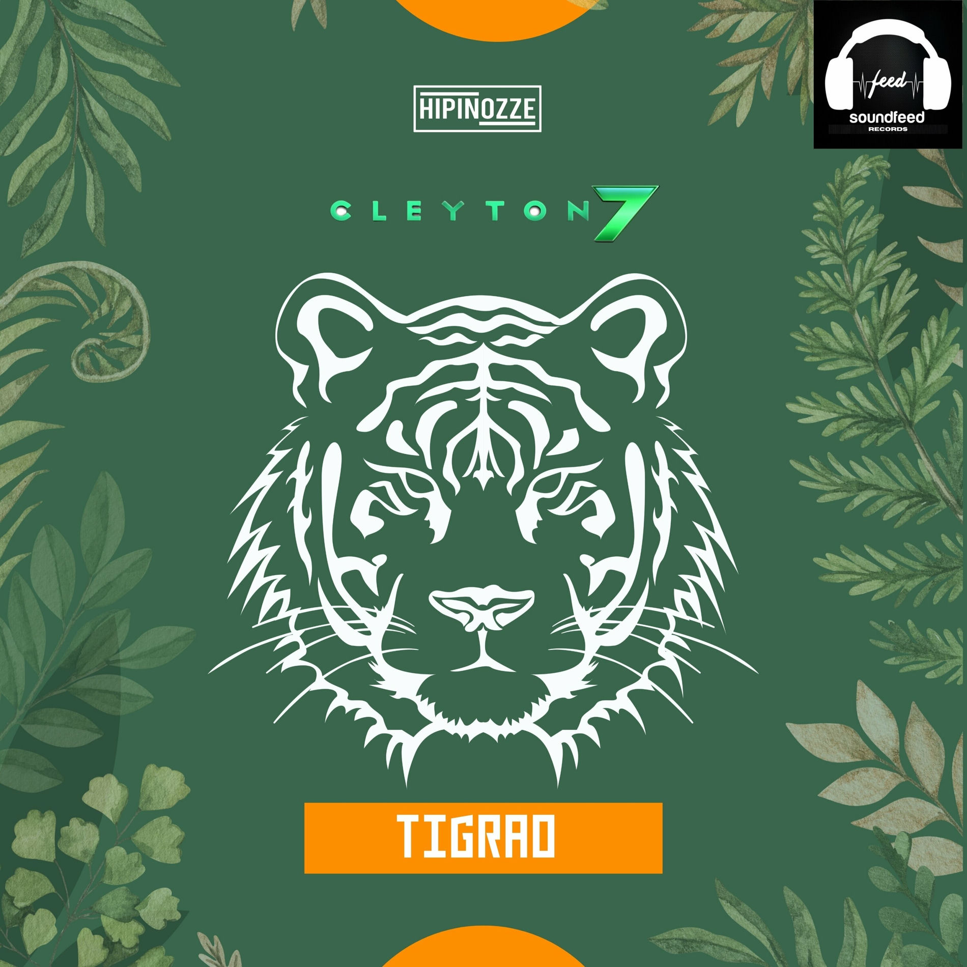 Album cover of TIGRAO