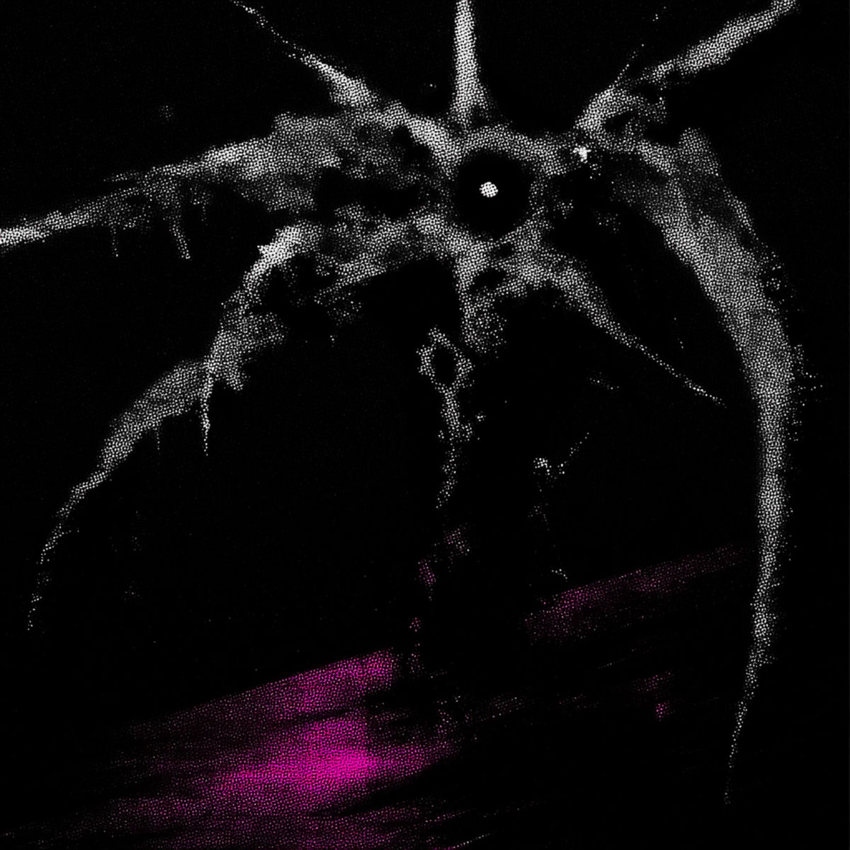 zxnc.: albums, songs, concerts | Deezer