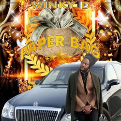 Cover of Paper Bag