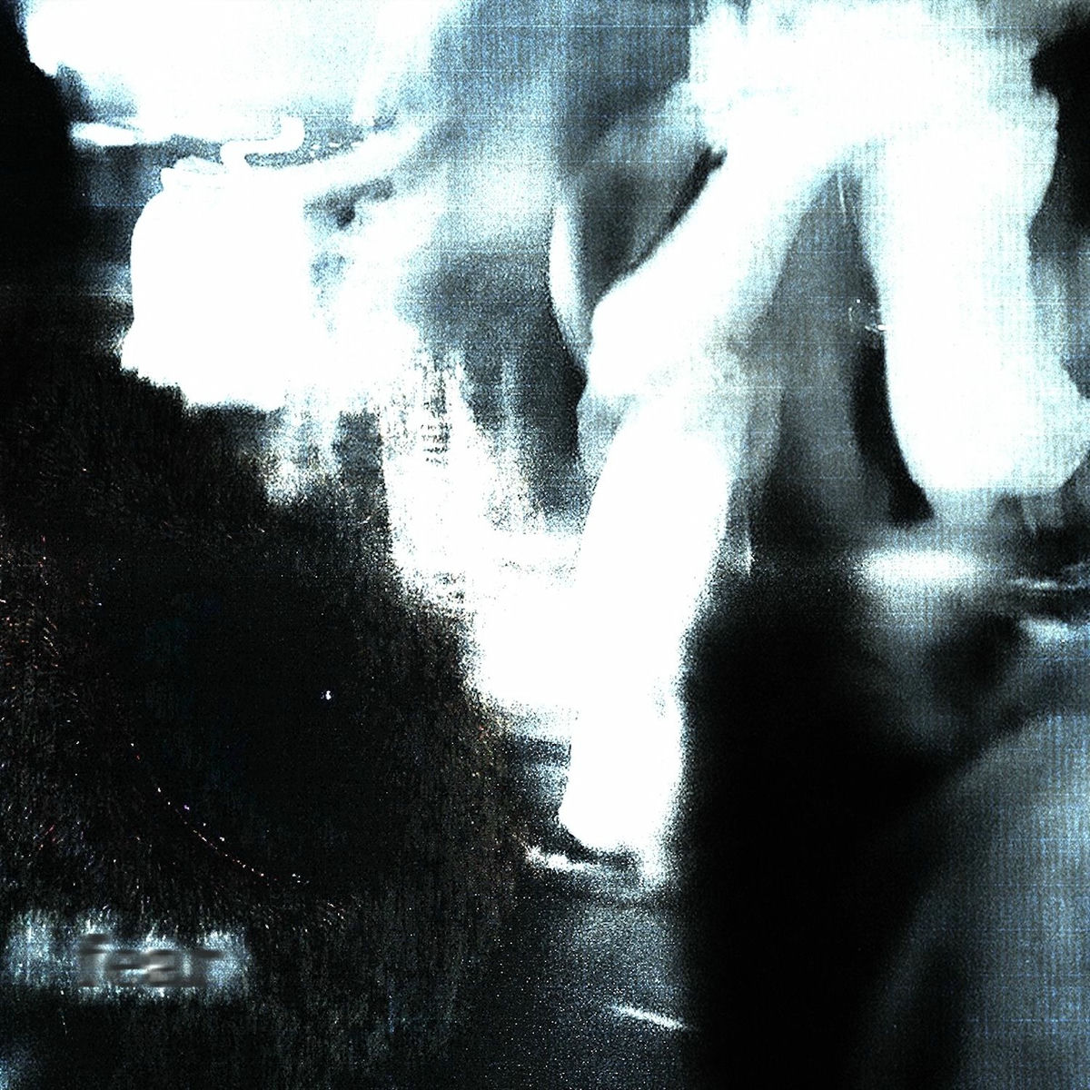 Album cover of FEAR