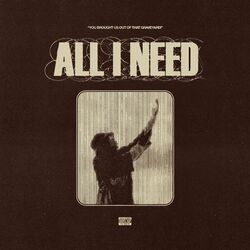 Cover of All I Need