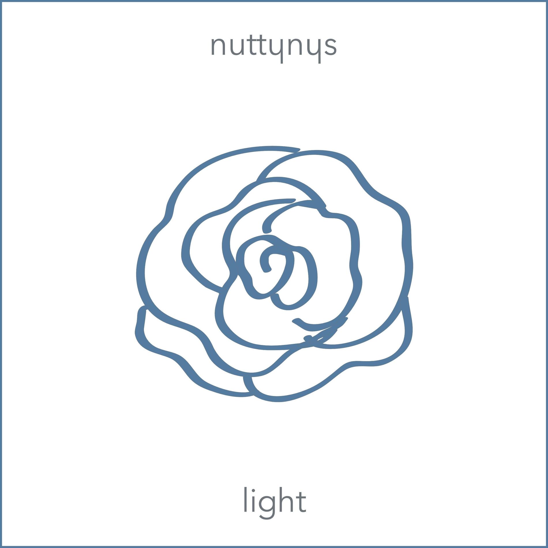 Album cover of Light