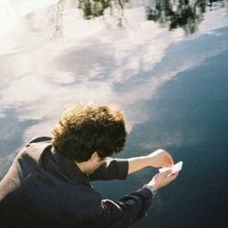 Cover of Aurevoir mon amour